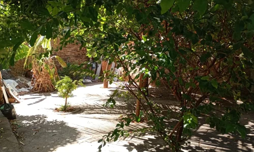 Comercial_na_Levada__7__eed50c