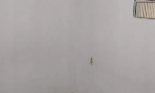 Casa na Ponta Grossa